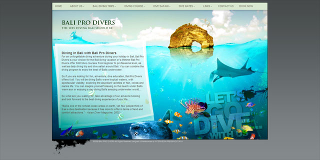Bali Pro Divers
